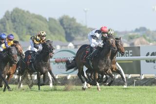 Rainbow Dash (NZ) (Showcasing) added a valuable black-type win in the Listed 2YO Stakes Photo: Trish Dunell